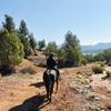 Image 7: Guided Horseback Riding: Sunset, Adventure & Beach Trails