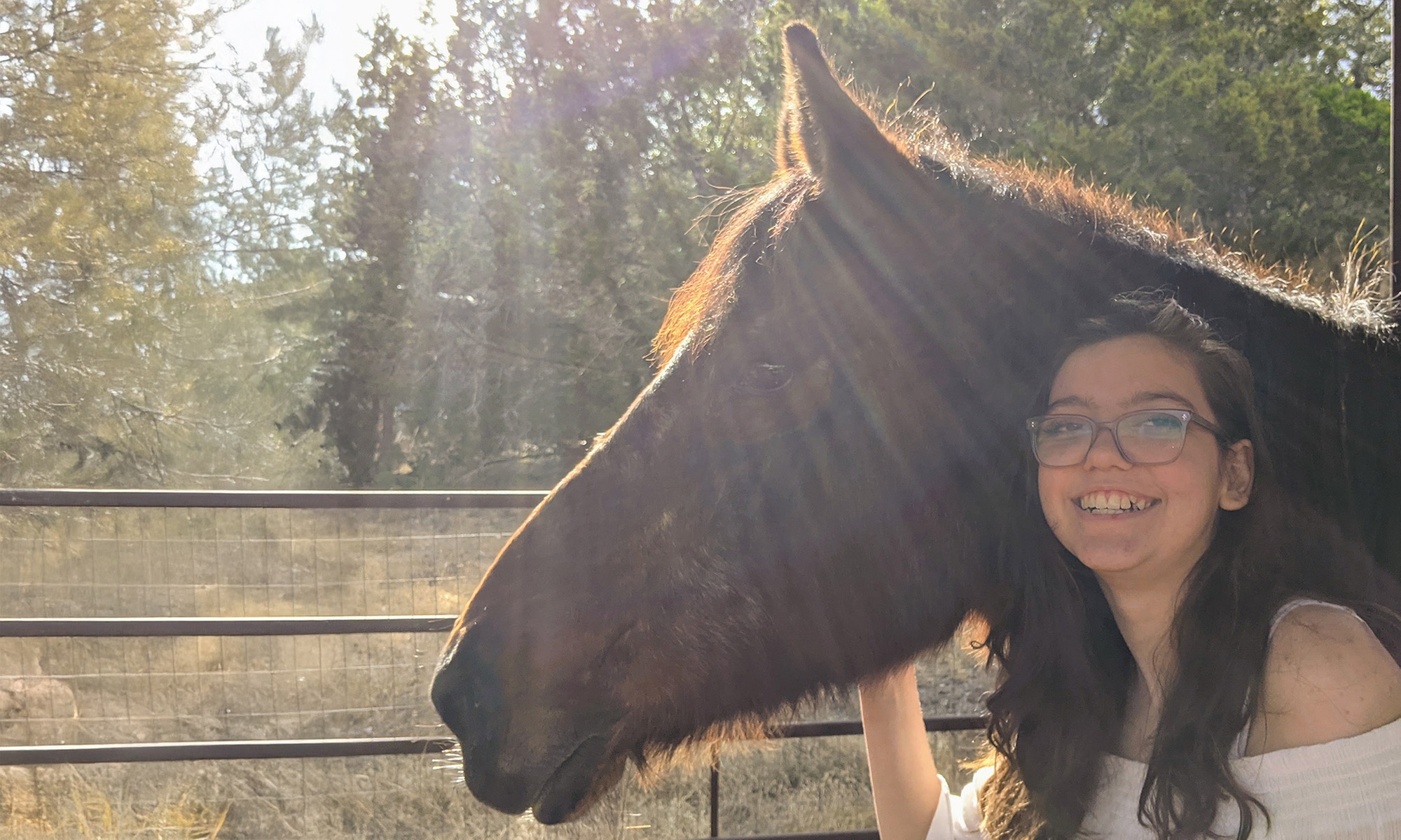 Explore the Joy of Horseback Riding for All Ages