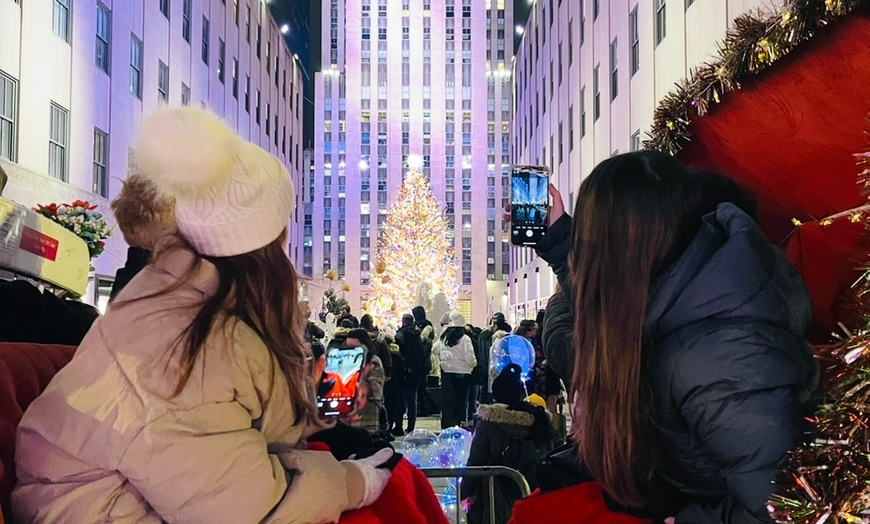 Image 4: Private Christmas Lights Carriage Ride – New York City
