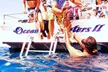 Three-Hour Midday Snorkel Cruise Experience from Ocean Encounters - (Up to 20% Off) - Second Medium