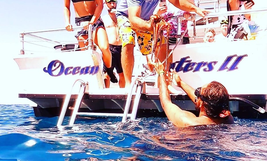 Image 2: 3-Hour Midday Snorkel Cruise Experience