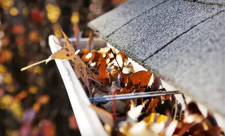 Window- and Gutter-Cleaning Package or Gutter Cleaning with System Flush from Swiss & Sennhauser (Up to 57% Off) - Primary Image