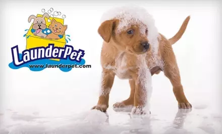 Pet Bathing, Grooming, and Supplies at LaunderPet. Choose from Two Options. - Primary Image