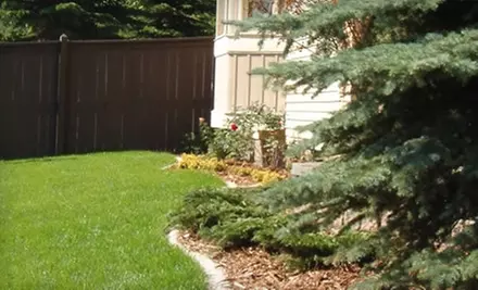 $38 for Landscaping Aeration ($75 Value) or Tree and Shrub Health-Care Combo ($135 Value) from ULS Maintenance & Landscaping. Choose Between Two Options. - Primary Image