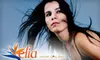 $30 for $65 Worth of Services at Elia Hair Salon