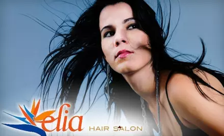 $30 for $65 Worth of Services at Elia Hair Salon - Primary Image
