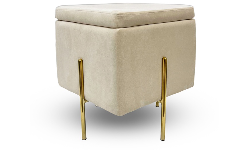 Image 3: Lapo puf contenedor de terciopelo 