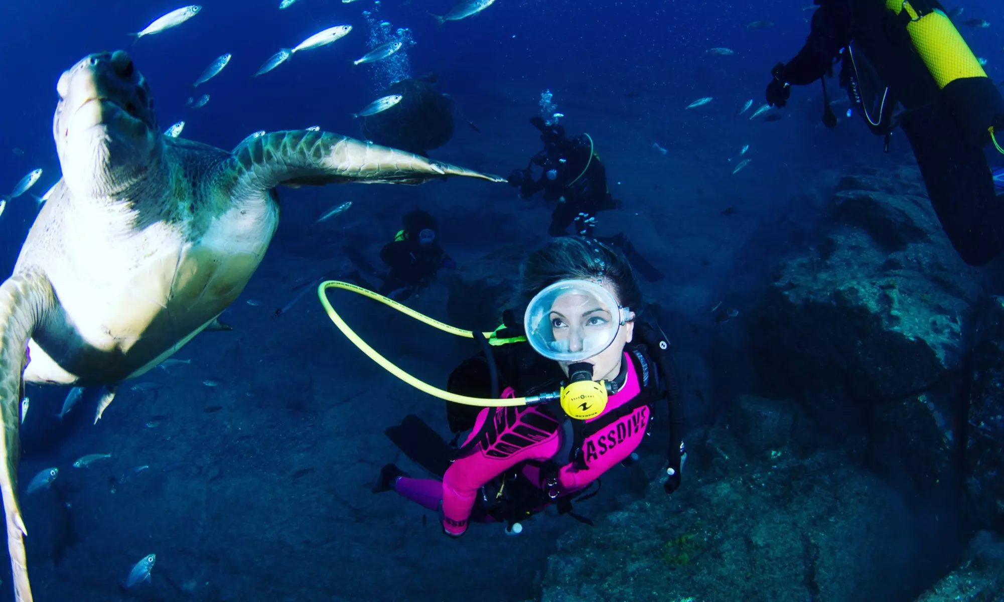 Bautismo de buceo para 1 persona con snacks y snorkel