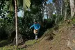 Discover Nature with Buddha Kona Coffee Tour (Up to 30% Off) - Second Medium
