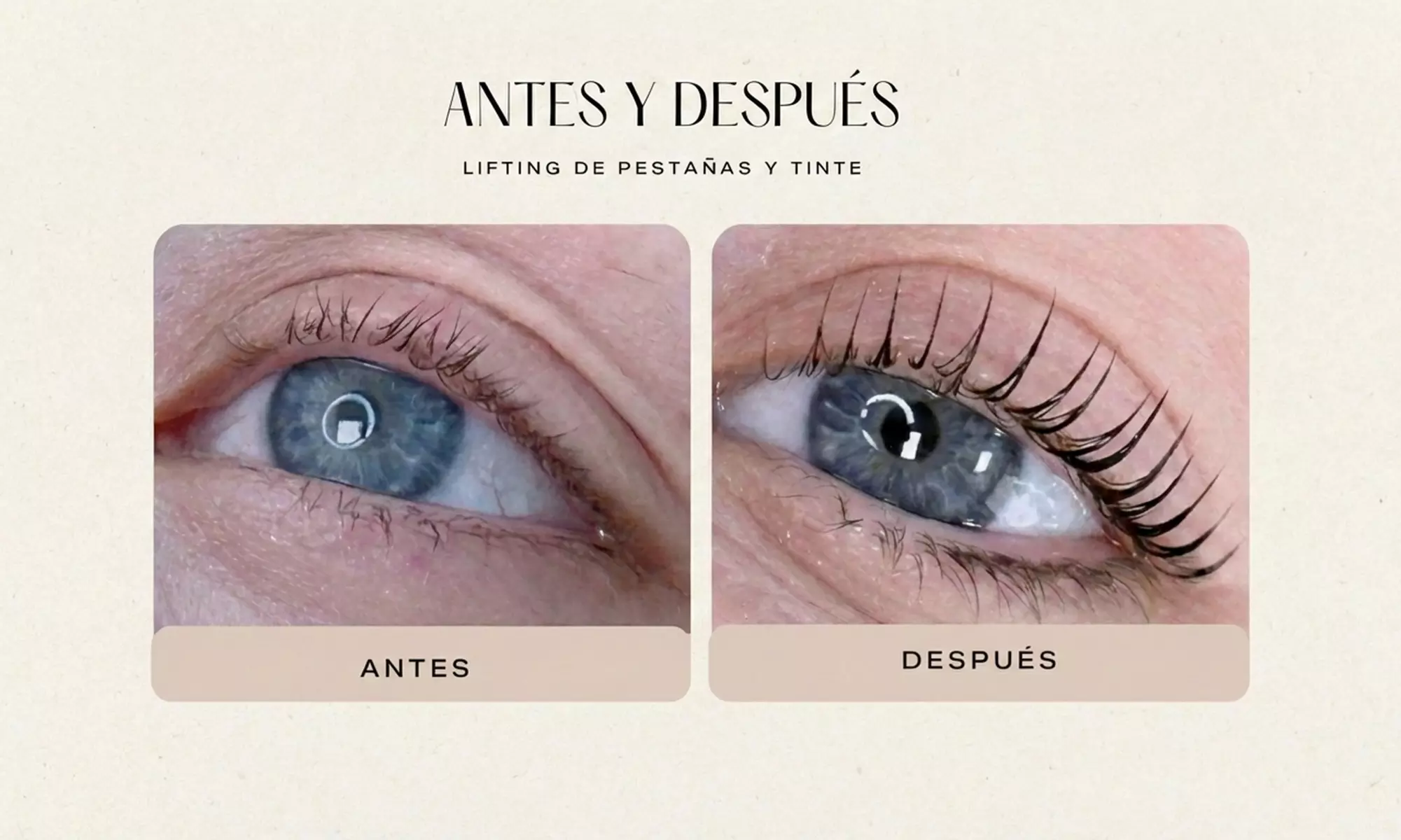 Lifting y tinte de pestañas con opción a laminado de cejas y diseño