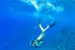 Morning Lana‘i Snorkeling Tour or Book a Private Charter with Kaanapali Ocean Adventures (Up to 10% Off)
 - Second Medium