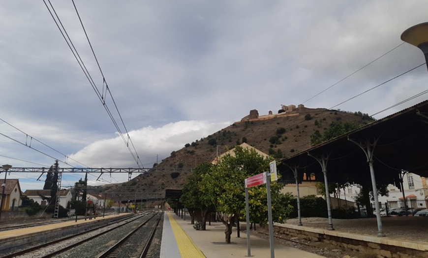 Image 6: Ruta guiada por el Valle del Azahar en flor con cata de vino y queso
