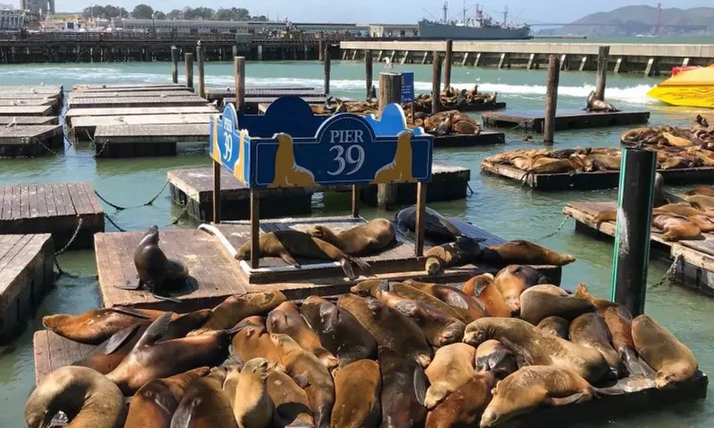 San Francisco City Tour for 1, 2 or 4 People 