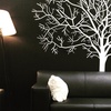 Image 5: Candela GentleMax Pro Laser Hair Removal Treatments at New You Laser