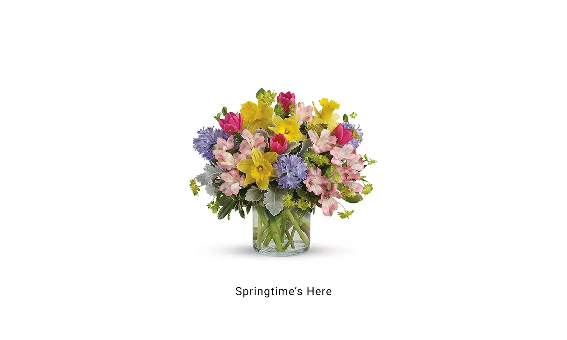 Send Mom Fresh Tulip Bouquets for Mother's Day - Blooms Today 20% Off