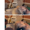 Image 3: Professional Head Spa and Scalp Treatment Experience
