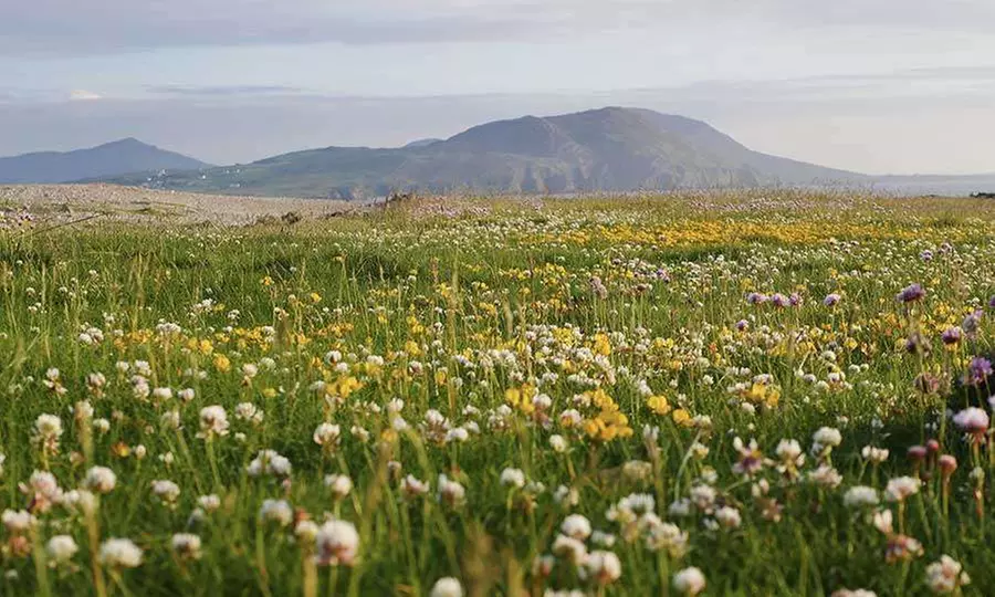 Co. Donegal: 2-3 Nights with Breakfast