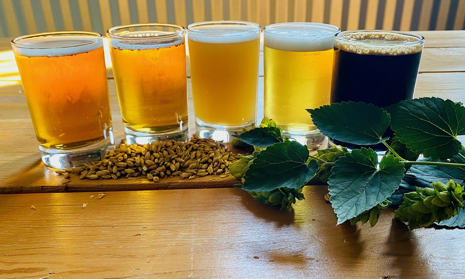 Explore Five Unique Brews in One Tasting Flight Experience