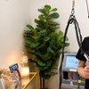 Image 18: Smooth Skin: 6 Laser Hair Removal Sessions with Candela GentleMax Pro