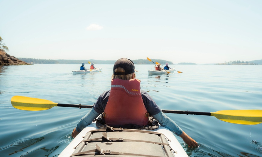 Image 1: Explore San Juan Island on a Half Day or Full Day Kayak Tour