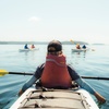 Image 1: Explore San Juan Island on a Half Day or Full Day Kayak Tour