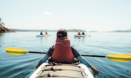 Half Day San Juan Island Kayak Tour - 1 Ticket - Outdoor Odysseys Kayak Tours