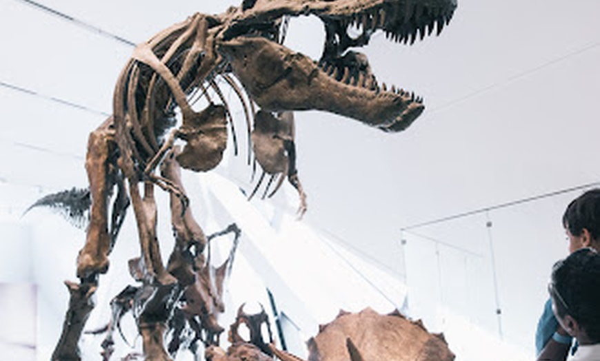 Image 4: CityPASS® - Save up to 38% on Admission to Top Toronto Attractions