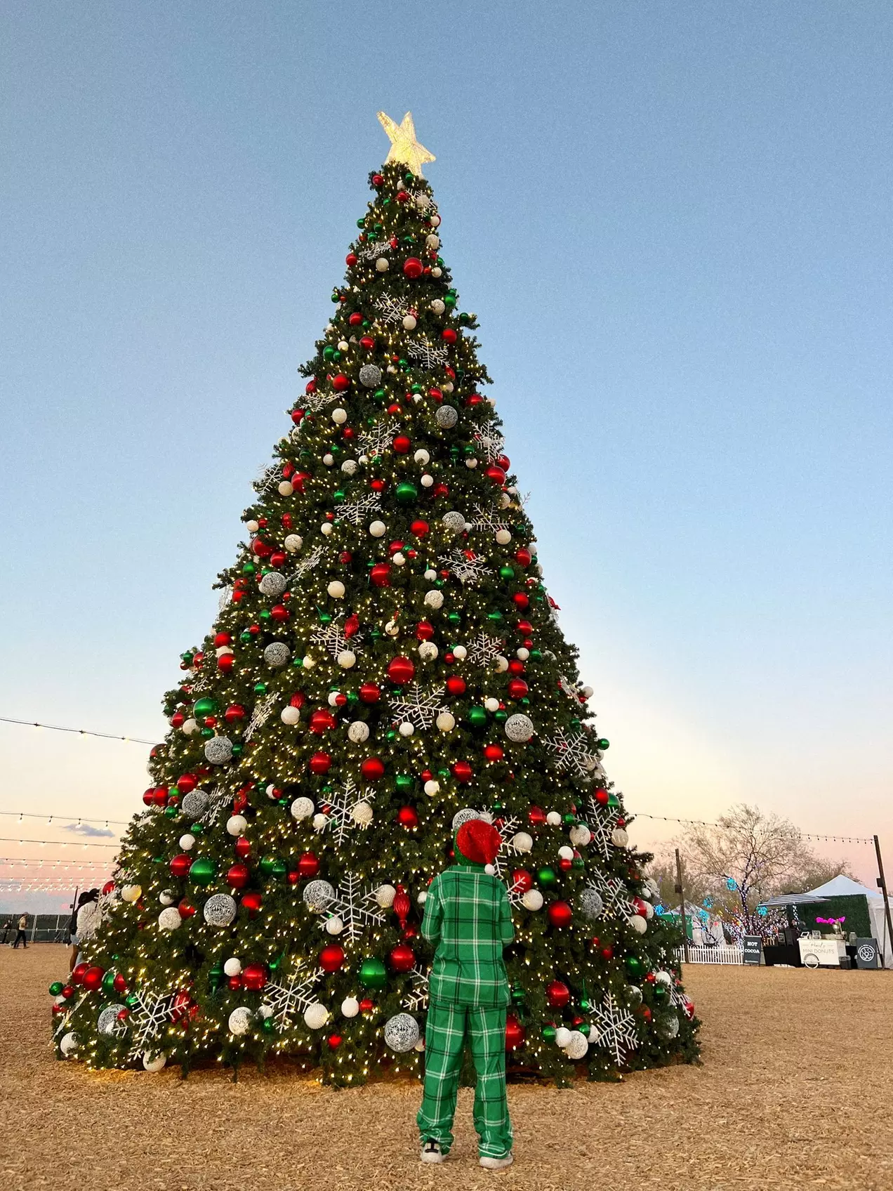 Desert Farm Lights - Holiday Festival Admission for Two
