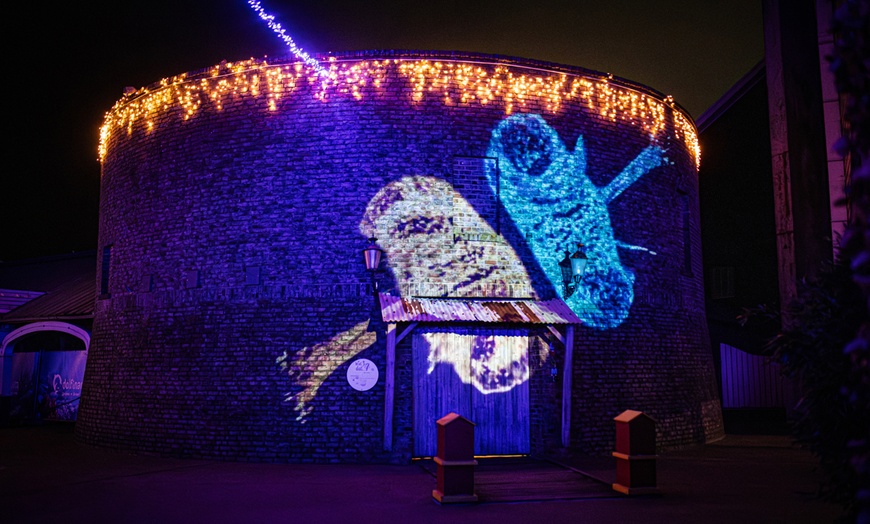 Image 18: Ontdek de dieren van de zee en neem zelf een duik in het Dolfinarium