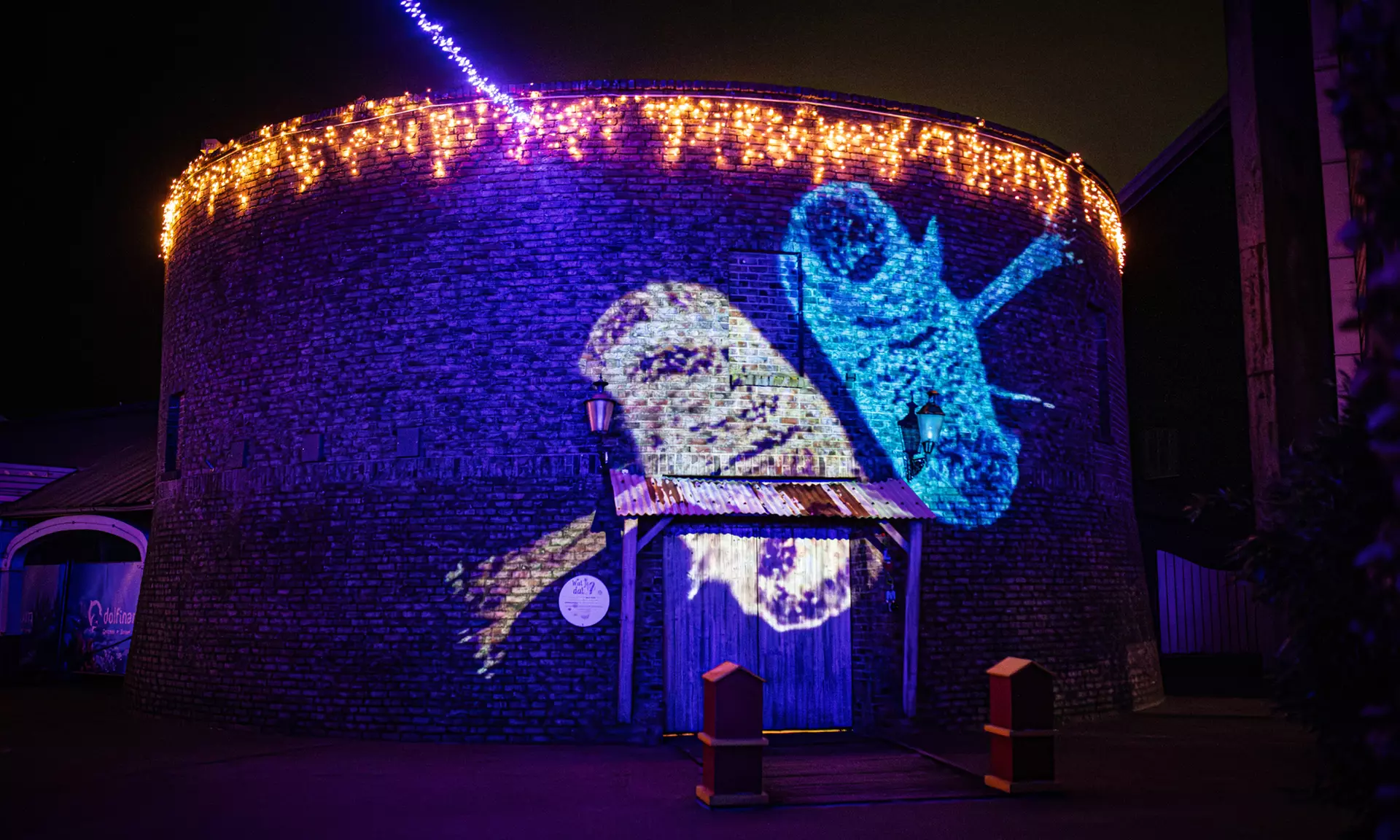 Einrittskarte "Dolfinarium" in Harderwijk, Niederlande für 1 Person