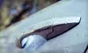 Full Onsite Detail for a Car, Wagon, SUV, or Truck from Spotlight Shine Mobile Detailing (Up to 58% Off)