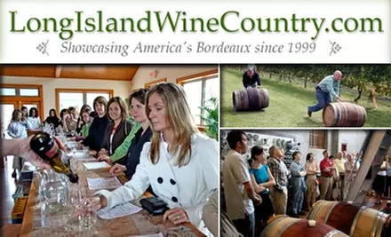 $95 for Any 2010 Premium VIP All-Inclusive Wine Tour - Primary Image