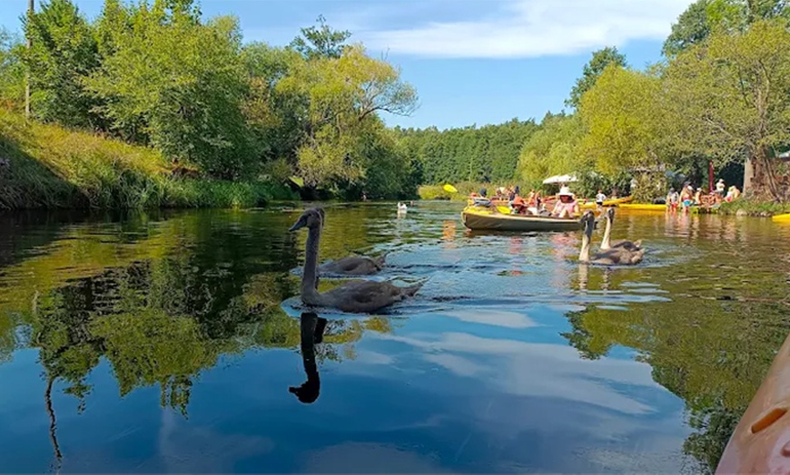 Image 5: Spływ kajakowy Krutynią przez cały tydzień i obiad dla 2, 4 lub 6 osób