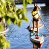Image 5: 1, 2 Std o.Full Day Stand-Up-Paddling inkl. Paddel & Drybag für 1 Pers