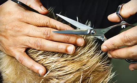 Haircut or Haircut with Highlights at Studio 106 Hair Design in Hartford  - Primary Image
