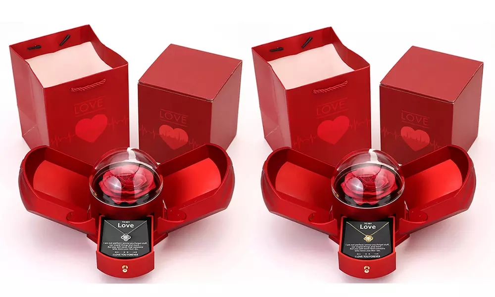 Coffret-cadeau élégant comprenant une rose éternelle 100 % naturelle préservée et un collier, coloris au choix - Primary Image