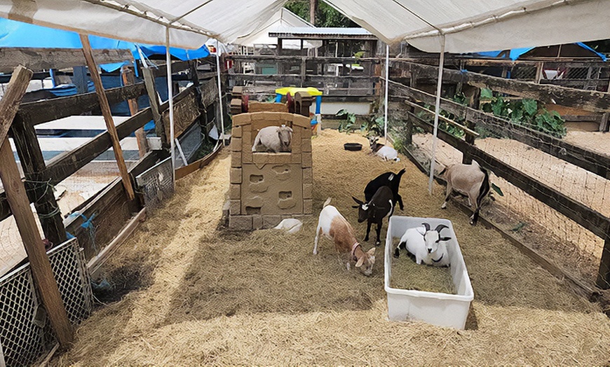 Image 4: Zoo Entry with 5-Minute Pony Ride for Up to Four People