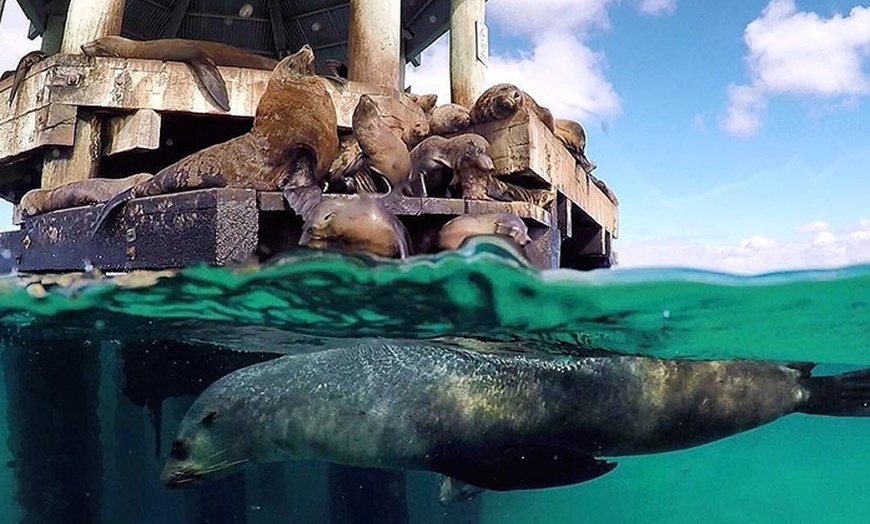 Image 3: Discover Wildlife on Sightseeing Tour for One Adult, Child or Infant 