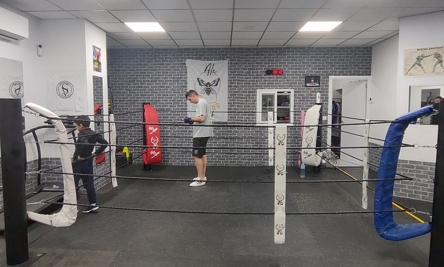 Image 2: 1 o 2 clases individuales de boxeo 