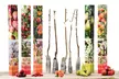 Lot de 3, 5 ou 10 arbres fruitiers fuseaux, modèle au choix - Image 4