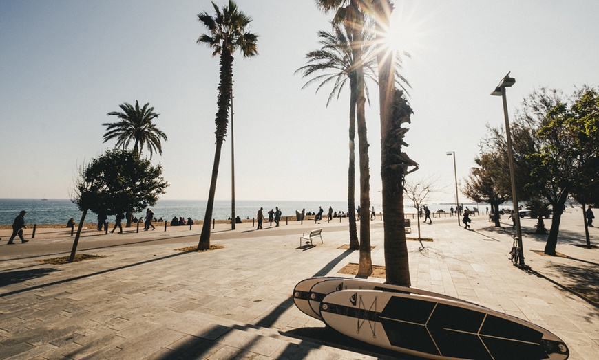 Image 5: Alquiler de tablas de paddle surf durante 1 hora para hasta 4 personas