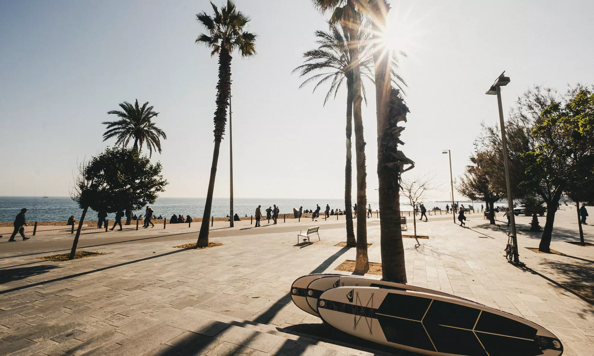 Alquiler de tablas de paddle surf durante 1 hora para hasta 4 personas