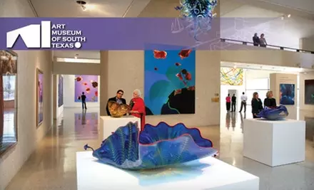 One-Year Membership to the Art Museum of South Texas. Choose Between Two Options.  - Primary Image