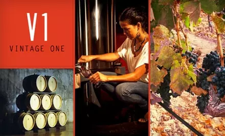 $50 for a Winemaking Experience, Including 12 Bottles’ Worth of Wine, from Vintage One Wines - Primary Image
