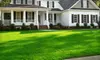 $35 for One Spring Lawn Core Aeration ($111.36 Value) or $30 for One Spring Fertilizer Treatment ($81.76 Value) from Nutri-Lawn