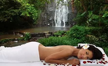 $50 for Four BioMat Detoxification Sessions at BRAS in Overland Park ($100 Value) - Primary Image