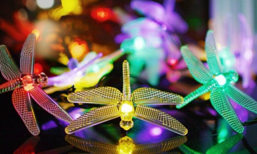 Image 5: Solar-Powered String Lights