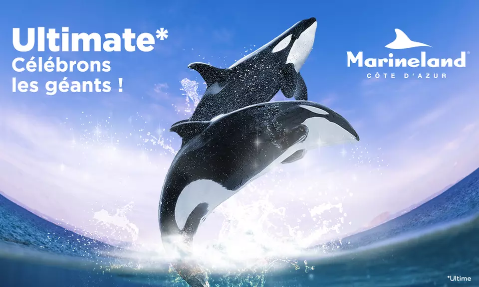 Au cœur de Marineland, le plus grand zoo marin d'Europe avec une entrée unique adulte / enfant - Primary Image