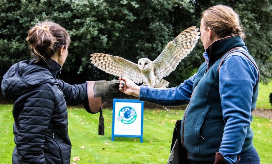 Image 3: Birds of Prey or Owl Encounter Experience at CJ's Birds of Prey