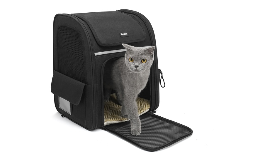 Image 10: Expandable and Foldable Pet Backpack with Ventilated Mesh Windows